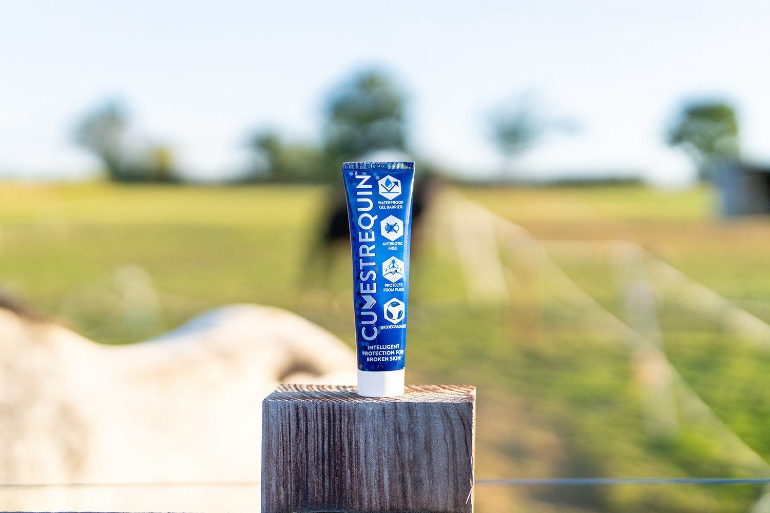 CUVESTREQUIN-Product-Shot